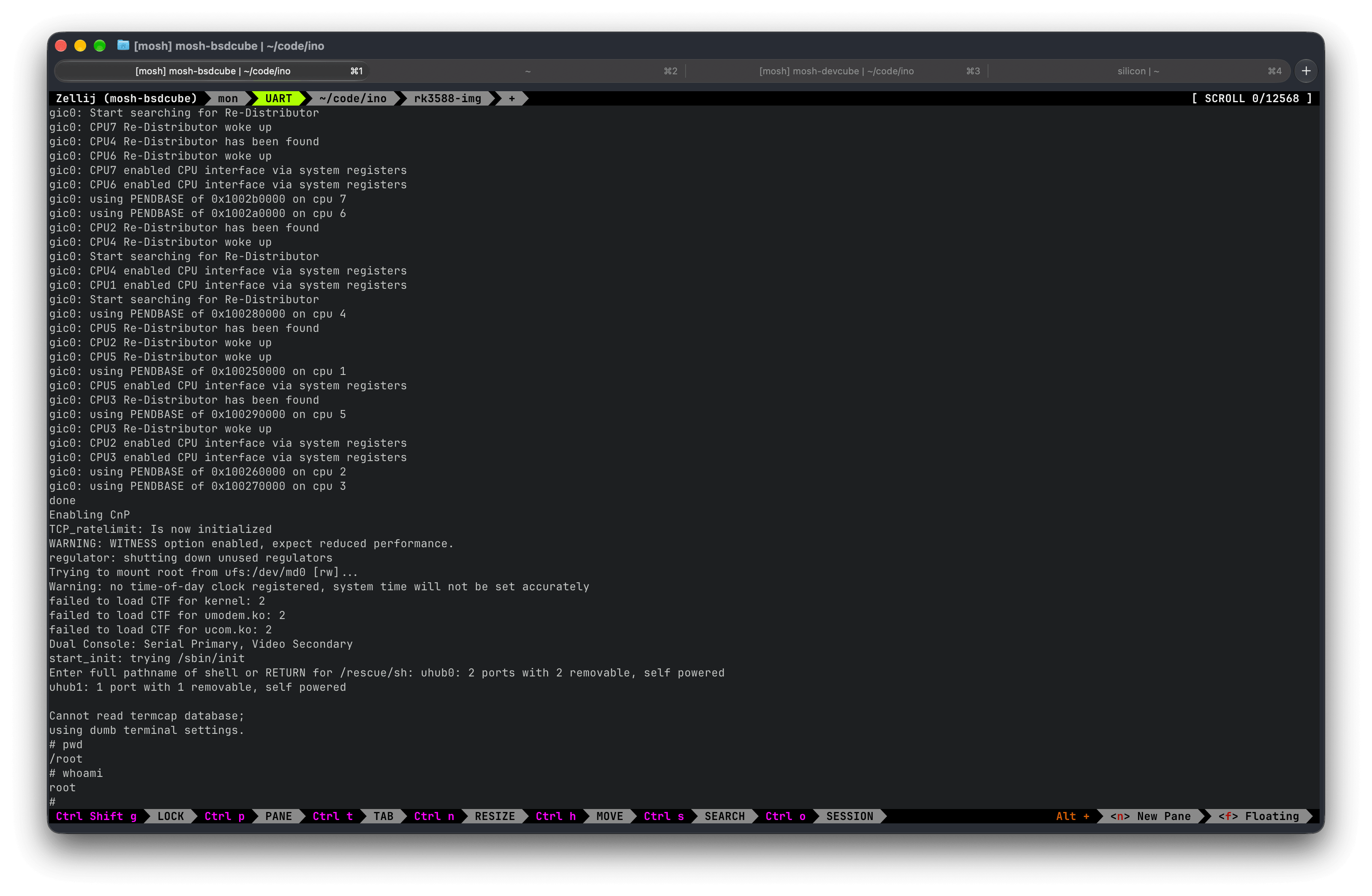 First boot viewed from a terminal emulator, ending in a root prompt
